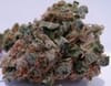 707 Headband Regular Seeds - 12-BCBD-707-REG-12