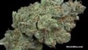 Ghost Train Haze #1 Regular Seeds - 12-RD-016
