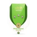 RQS Selbstblühend Starters Kit - White Widow Auto-RQS-STKIT-WW-AUTO-FEM-3