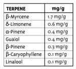 Dream Queen Regular Seeds - 10-HUMB-DQ-10-R