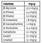 All Gas OG (formerly Asphalt Plant) Regular Seeds - 10-HUMB-AGOG-10-R