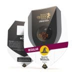 Exotic Witch Regular Seeds - 10-RQS-EW-REG-10