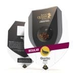 Garlic Mist Regular Seeds - 10-RQS-GM-REG-10