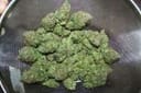 Remedy Regular Seeds - 18-MRNREM