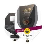 Amnesia Haze редовен семена - 10-RQS-AH-REG-10