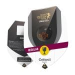Critical Regular Seeds - 10-RQS-CR-REG-10