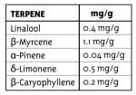 Emerald Fire OG Ordinario Semi - 10-HUMB-EFO-10-R