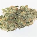 Jack the Ripper Feminised Seeds - 5-TGA-JTR-FEM-5
