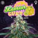 Lemon Curd Feminised Seeds - 6-PTS-LC-FEM-6