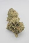 Remedy CBD Feminised Seeds - 10-RSNREMCBD-FEM10
