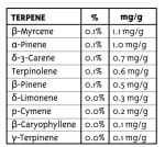 Jack Herer Ordinario Semi - 10-HUMB-JHR-10-R