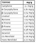 Old Growth OG Regular Seeds - 10-HUMB-OGO-10-R
