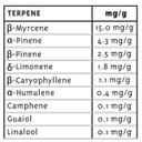 Stoopid Fruits Regulär Samen - 10-HUMB-STF-10-R