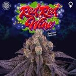 Red Red Wine Feminised Seeds - 6-PTS-RRW-FEM-6