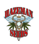 White 88 G - 13/ Hashplant Regular Seeds - 12-HAZEM-WHHA-10-REG