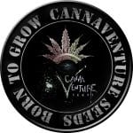 Urkle Berry II Regular Seeds-CANVEN-UR-10-REG