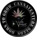 Urkle Berry II Regular Seeds-CANVEN-UR-10-REG