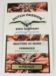 Super Haze Feminisiert Saatgut-superhaze