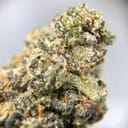 Banana Foster Feminised Seeds - 5-TRS-BF-FEM-5