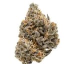 Pillsbury Droboy Feminised Seeds - 5-TRS-PD-FEM-5