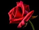 ImageBaseURL-ImageBaseURL