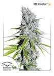Skunk Haze CBD феминизирани семена-dp-cbdskunkhaze-fem