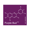 Purple Bud Regelmäßig Saatgut-SMAN-PRPB-REG