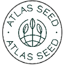GMO Fast Feminised Seeds-ATL-GMO-FAST-FEM