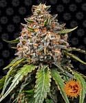 【THXE60%✖️CBN】LIVELINE-White Widow 1ml Sylvania Lighting - Item #F25T12/CW/28