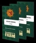 Sour Diesel Feminized Seeds-BFS-SD-FEM