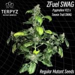 Zfuel Swag Regular Seeds-TERP-ZFSWAG-REG