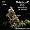 Flo Fusion ABC Regular Seeds-TERP-FLOFUS-REG