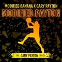 Modified Payton Feminised Seeds-LV8-MODP-FEM