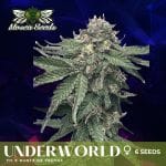 Underworld Feminized Seeds-MOSCA-UNDWLD-FEM