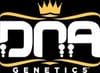 The Stinking Rose Feminized Seeds-DNA-TSTR-FEM