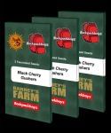 Black Cherry Gushers Feminised Seeds-BFS-BLCG-FEM