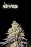 Panty Punch Auto Feminised Seeds-SEST-PAPU-AUTO-FEM