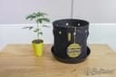 BudPots LST Fabric Pots - 4 Pack-BUTR-POT-4