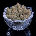 Cinderella 99 strain by Brothers Grimm