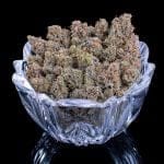 Cinderella Pineapple strain by Brothers Grimm