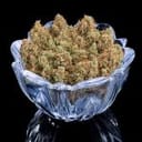 Durban Thai 99 strain by Brothers Grimm