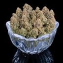 Grimm Glue strain by Brothers Grimm