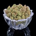 Thai Herer 99 strain by Brothers Grimm