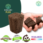 Ventana Plant Science OrganiPlugs for seeds and cuttings