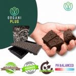 OrganiPlugs - Pre-Filled Tray 50 Plugs