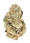 Gorilla Melon Feminised strain by Fast buds