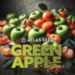 Green Apple Tangie strain by Atlas Seed