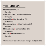 Marshmallow OG Multi-Pack