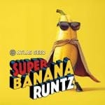 Super Banana Runtz by Atlas Seed