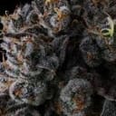 Crystal Chalice by Compound Genetics